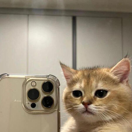 selfie